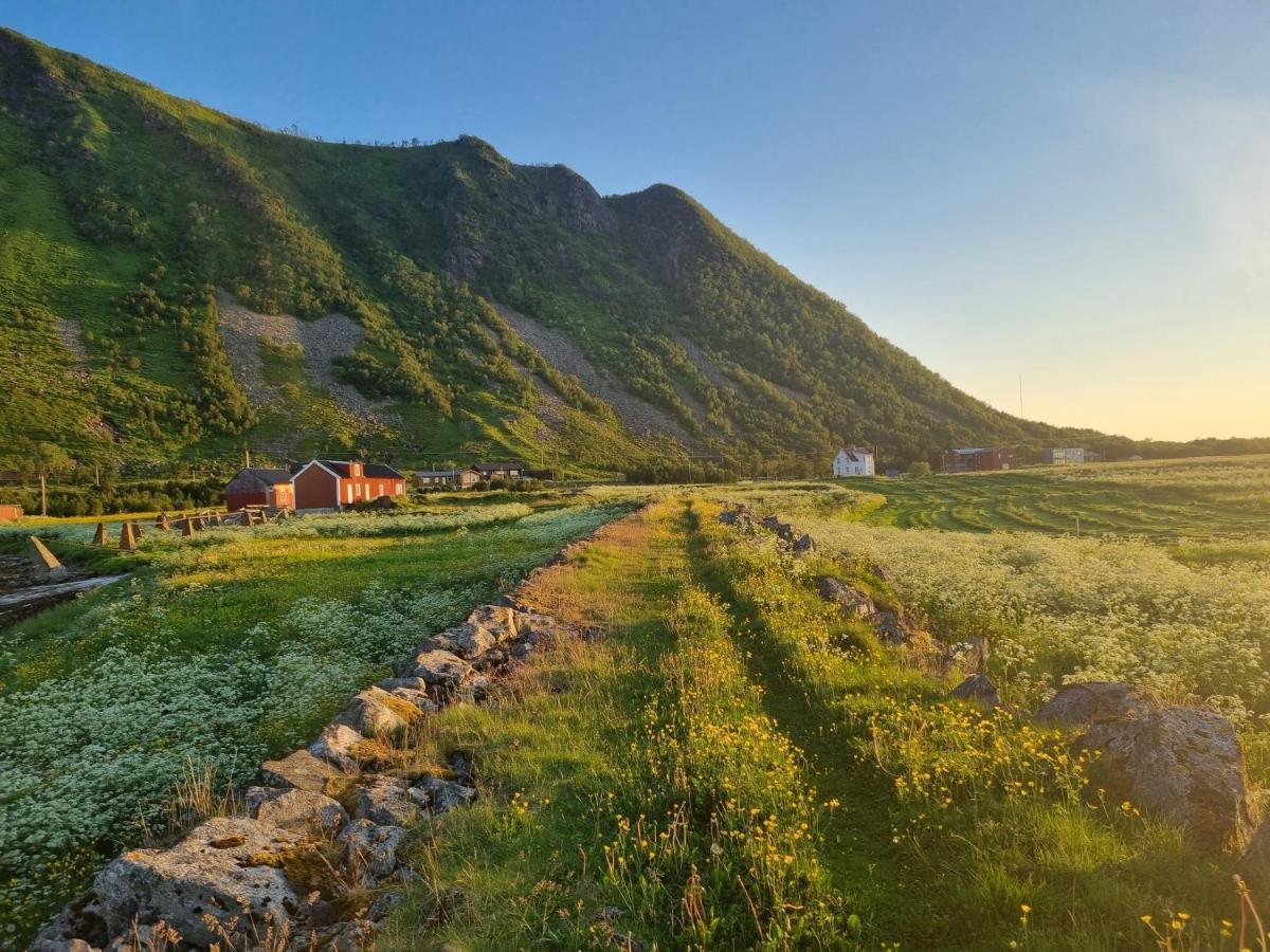Villa Walter Lofoten With Sauna Kvalnes  Екстер'єр фото