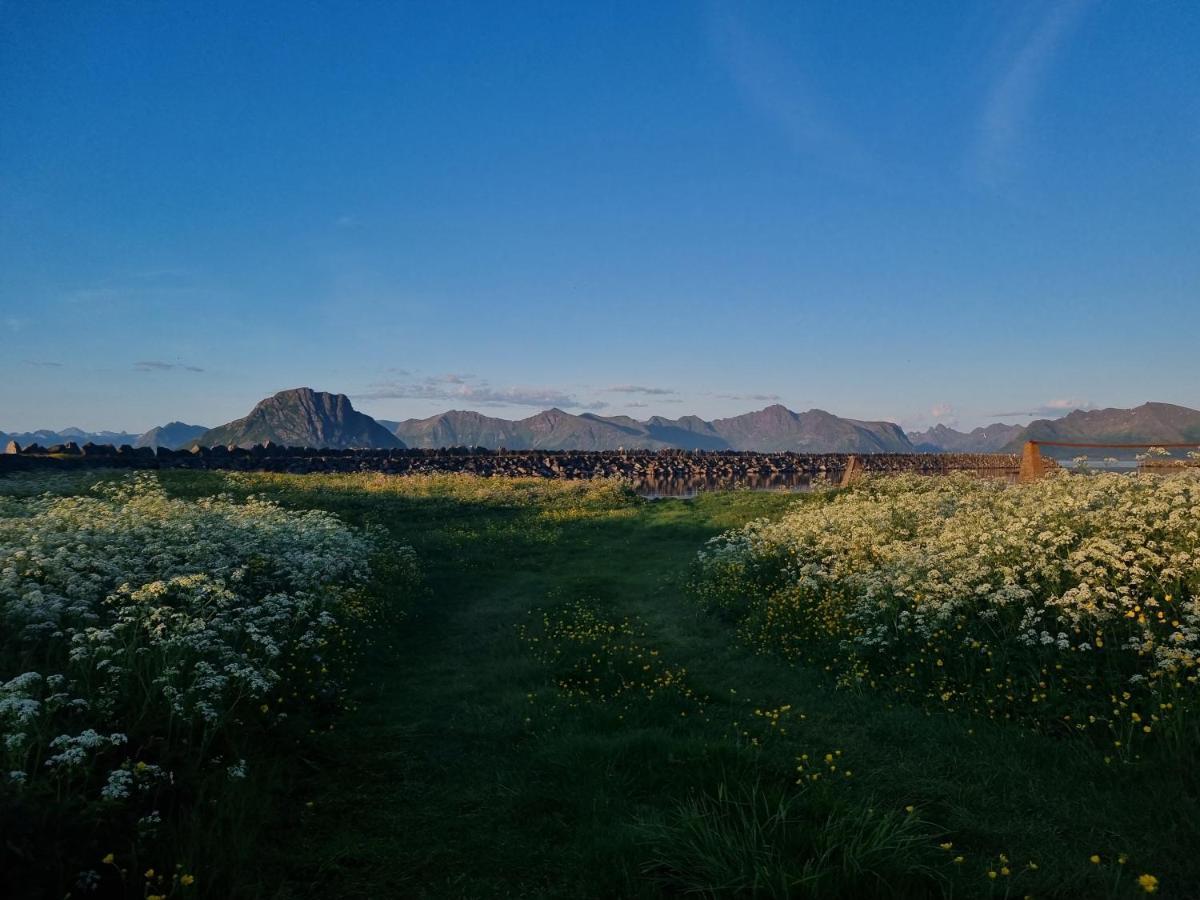Villa Walter Lofoten With Sauna Kvalnes  Екстер'єр фото